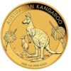 1 oz Australian Gold Kangaroo Coin ( Random Year )