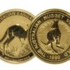 1/10 oz Australian Gold Kangaroo Coin (Random Year, BU)